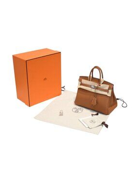 Hermes Birkin 25 Handbag Togo Gold Silver